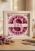 S initial shadow box frame for SNA.